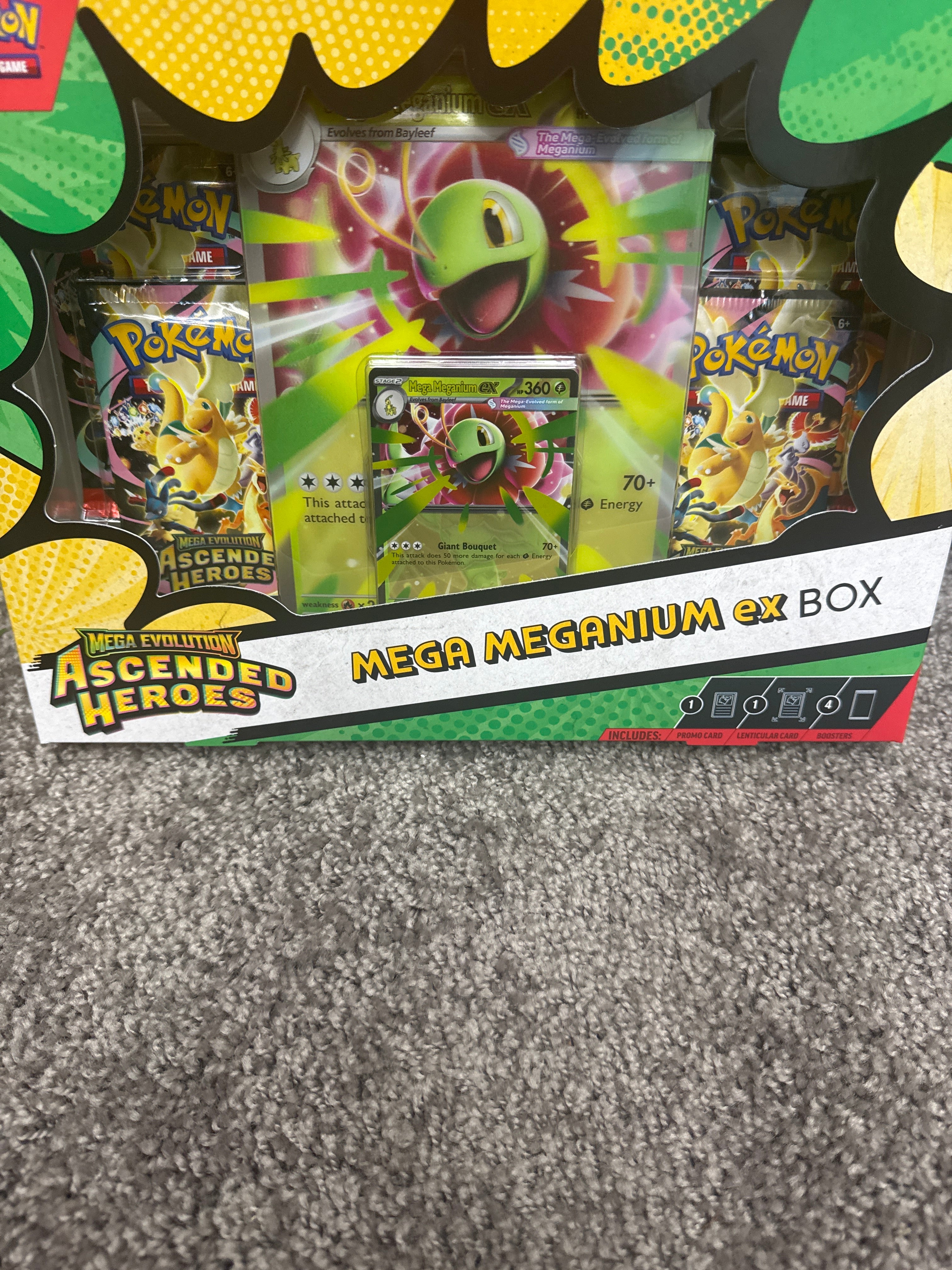 Mega Meganium ex Box